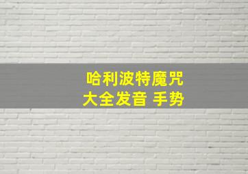 哈利波特魔咒大全发音 手势